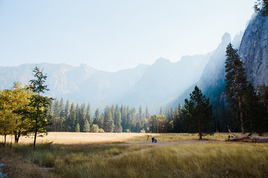 Yosemite National Park Meadows