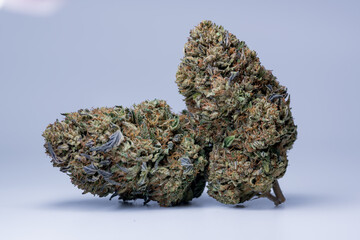 Cannabis Flower Macro - Strain: Swamp Thang