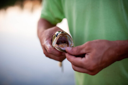 Bass Fishing Premium Images – Browse 1,708 Stock Photos, Vectors