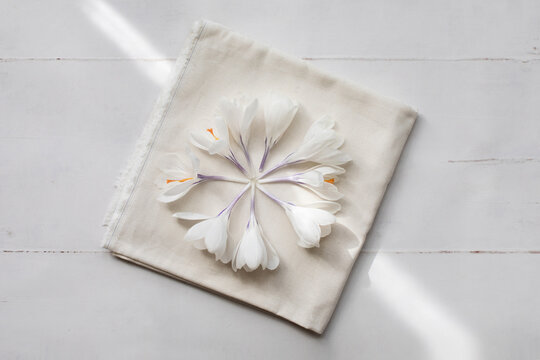 White crocus gathered on cotton napkin