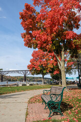 bench in autumn park along river with bridge  - obrazy, fototapety, plakaty