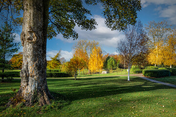 autumn in the park