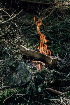 Open Fire In The Woods