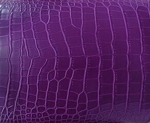 The background is made of reptile skin in purple , flatlay.