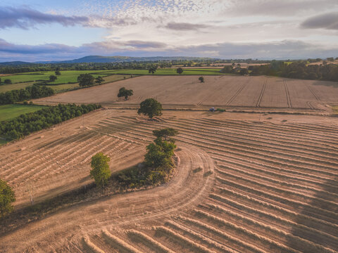 Rural aerial view of harvested fields of grass