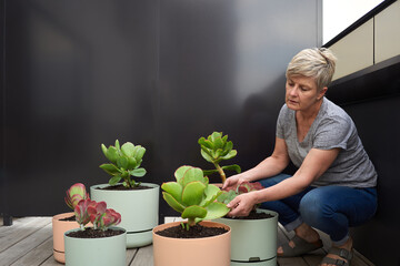 A woman inspects her plant pots on balcony garden