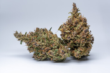 Cannabis Flower Macro - Strain: Astral Works