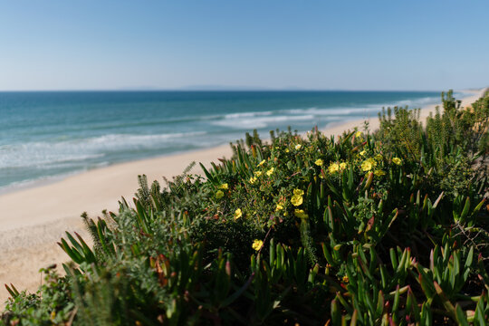 Natural Beach