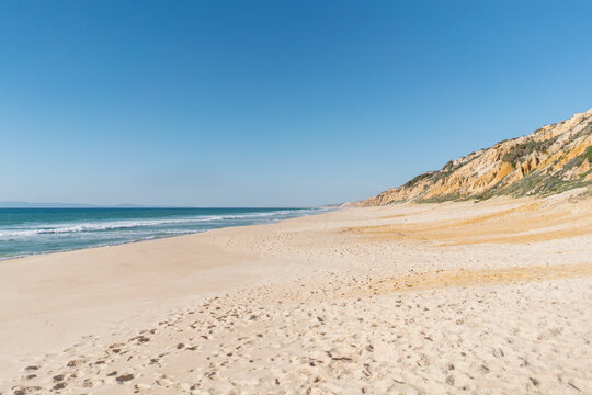 Beach Life
