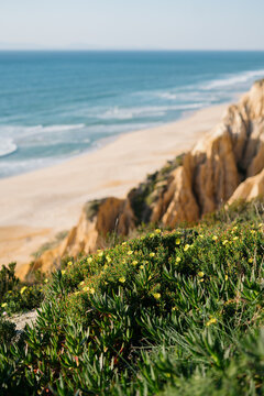 Natural Beach