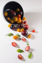 Tomates negros y de colores, cultivados en huerto de casa de manera orgánica