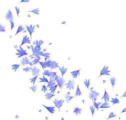 Fototapeta na wymiar Beautiful tender blue cornflower petals flying on white background