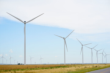 wind farm with mills for sustainable energy production