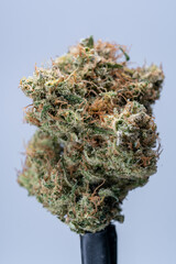 Cannabis Flower Macro - Strain: Sweet Diesel