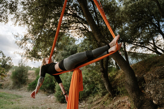 Young woman practicing aerial silks on tree outdoors