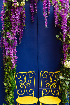Two yellow chairs sit in front of a blue wall with purple wisteria flowers