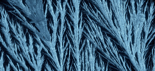 Ice crystals on dark background