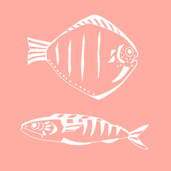 Vector image of fish on a pink background, drawing, illustration