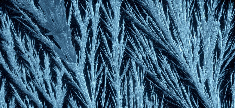 Ice crystals on dark background