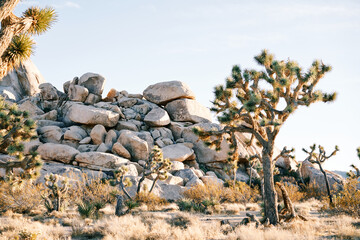 California national parks