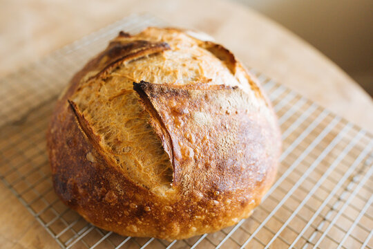One loaf of freshly baked sourdough bread