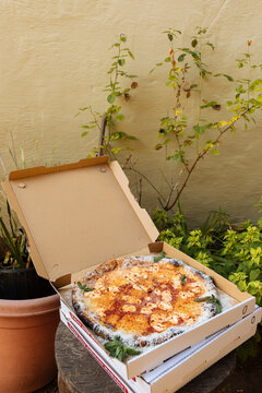 A huge margarita pizza sits in a cardboard box outside