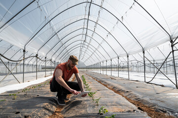 Man working in a greenhouse during seeding
