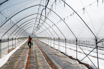 Man working in a greenhouse during seeding