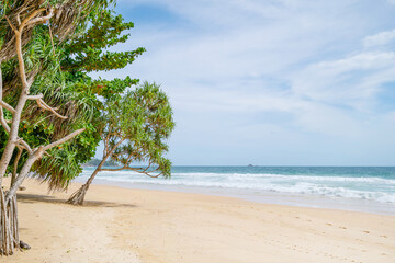 Empty tropical summer beach background Green trees leaves frame with blue sky and white sand beach Wave crashing on sandy shore Amazing beach at Phuket Thailand. - Powered by Adobe