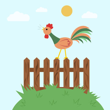 Cute rooster crowing on the wooden fence. Flat cartoon style. Vector illustration of singing cock