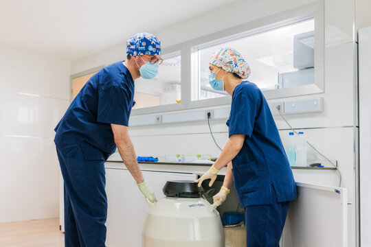 Medical specialists with cryo bank in IVF laboratory