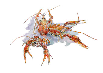 Boiled crayfish in a plate