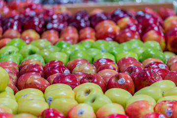 Apples lined up and sorted by variety in a grocery store in Florida