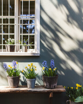 Flower pots on bench under window