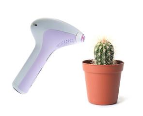 Hair removal concept. Cactus and modern photoepilator on white background