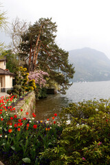 Lugano