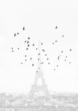 Minimalist Paris view with Eiffel tower and flock of birds