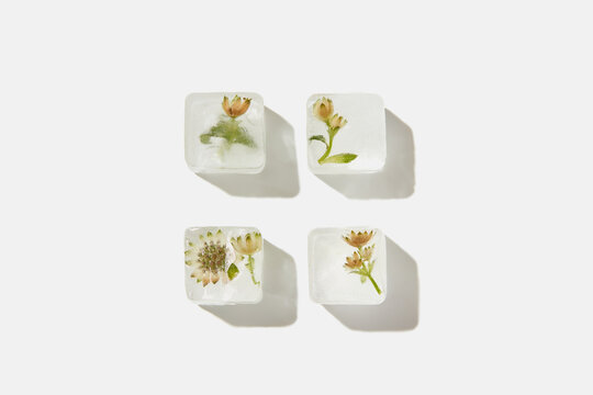 Ice cubes with white flowers and green leaves