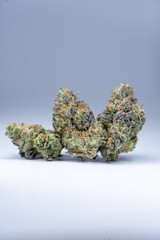 Cannabis Flower Macro - Strain: Platinum Purple