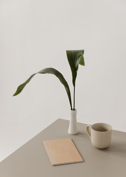 Fototapeta Minimalist desk scene