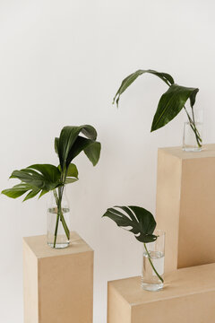 Leaves and wood boxes