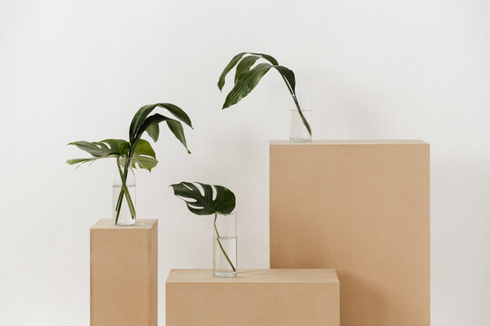 Leaves and wood boxes