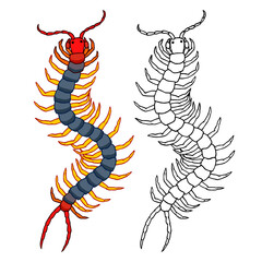 decorative scolopendra, dangerous poisonous insect, predator, color vector illustration with black ink contour lines isolated on a white background in a cartoon and hand drawn style