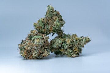 Cannabis Flower Macro - Strain: Rosebud Kush