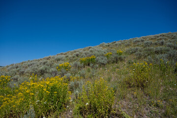 Blue Sky Behind Rolling Hillside in Yellowstone