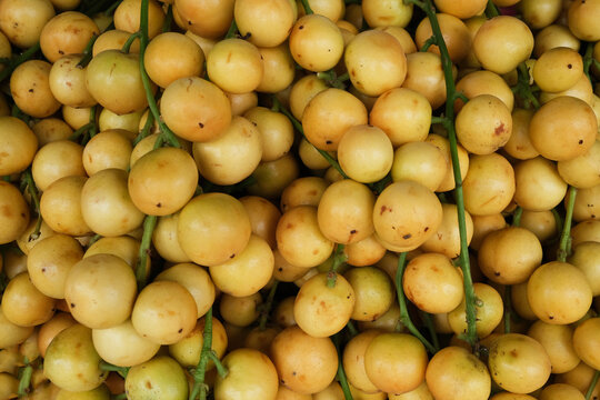 Baccaurea ramiflora for sale at the mar
