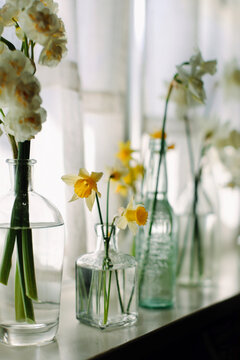 Many flowers in old bottles