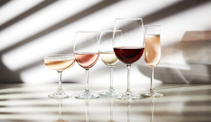 Assortment of Wines: Rose, White, Red and Champagne 