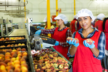 Portrait of positive woman with peaches in her hands next to the fruit sorting line