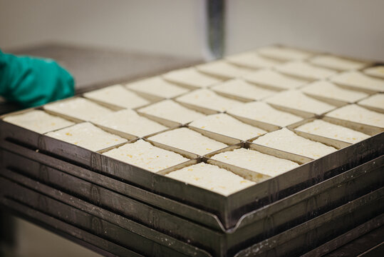 Halloumi resting in metal trays
